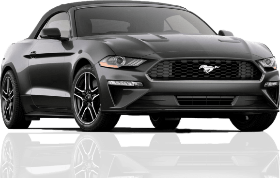 Закажи растаможку своего автомобиля